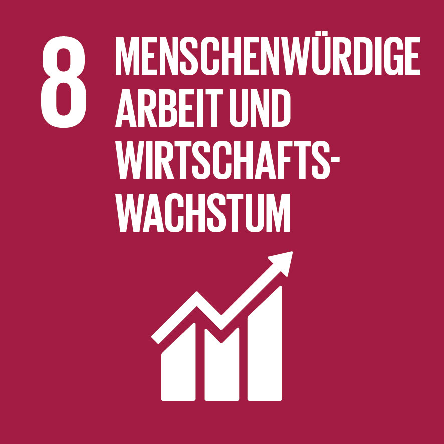 8 Meschenwürdige Arbeit und Wirtschaftswachstum