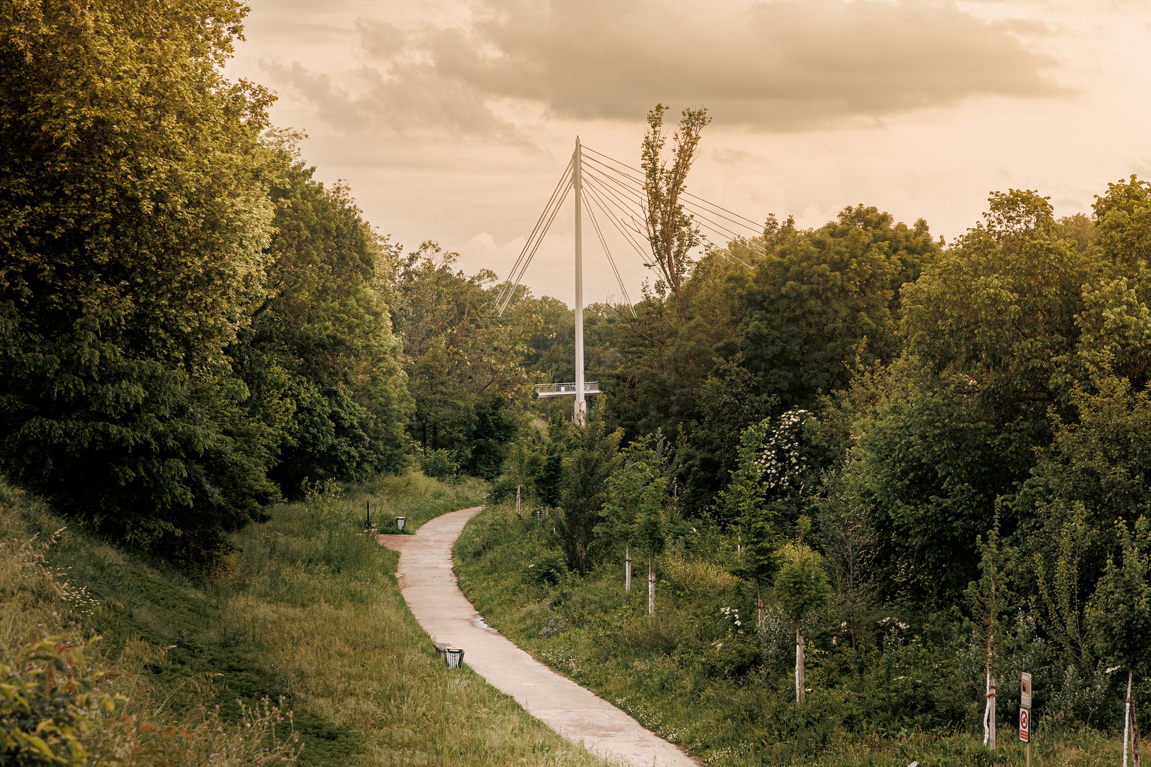 Ein begrünter Weg am Abend, der zu einer Fußgängerbrücke über die Garonne auf die Île du Ramier in Toulouse führt.
