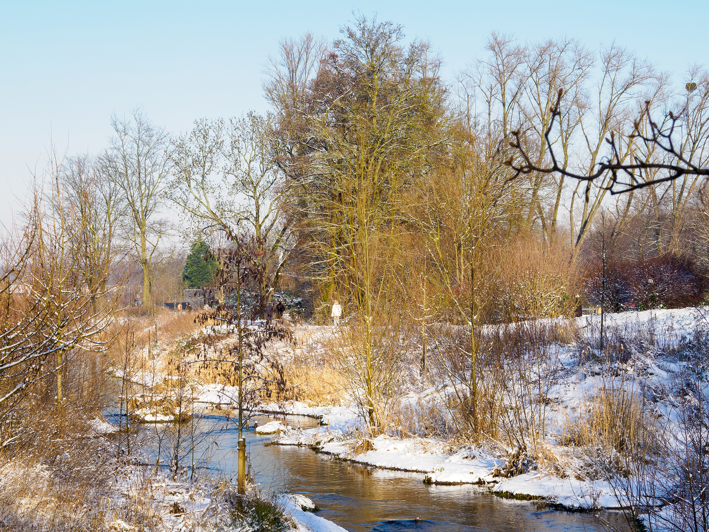 Die renaturierte Südliche Düssel im Winter bei Schnee.