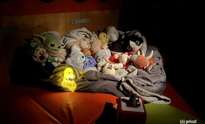 Foto von Kuscheltieren in einer Kuscheldecke mit Nachtlicht.