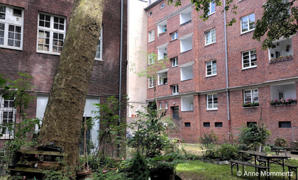 Häuserwände mit Ranken
