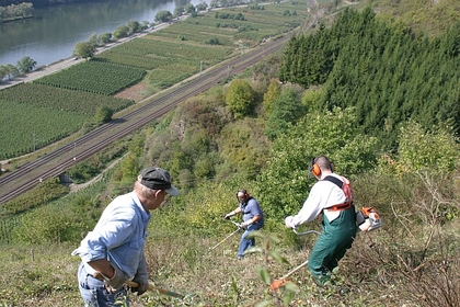 Helfer im Naturschutz