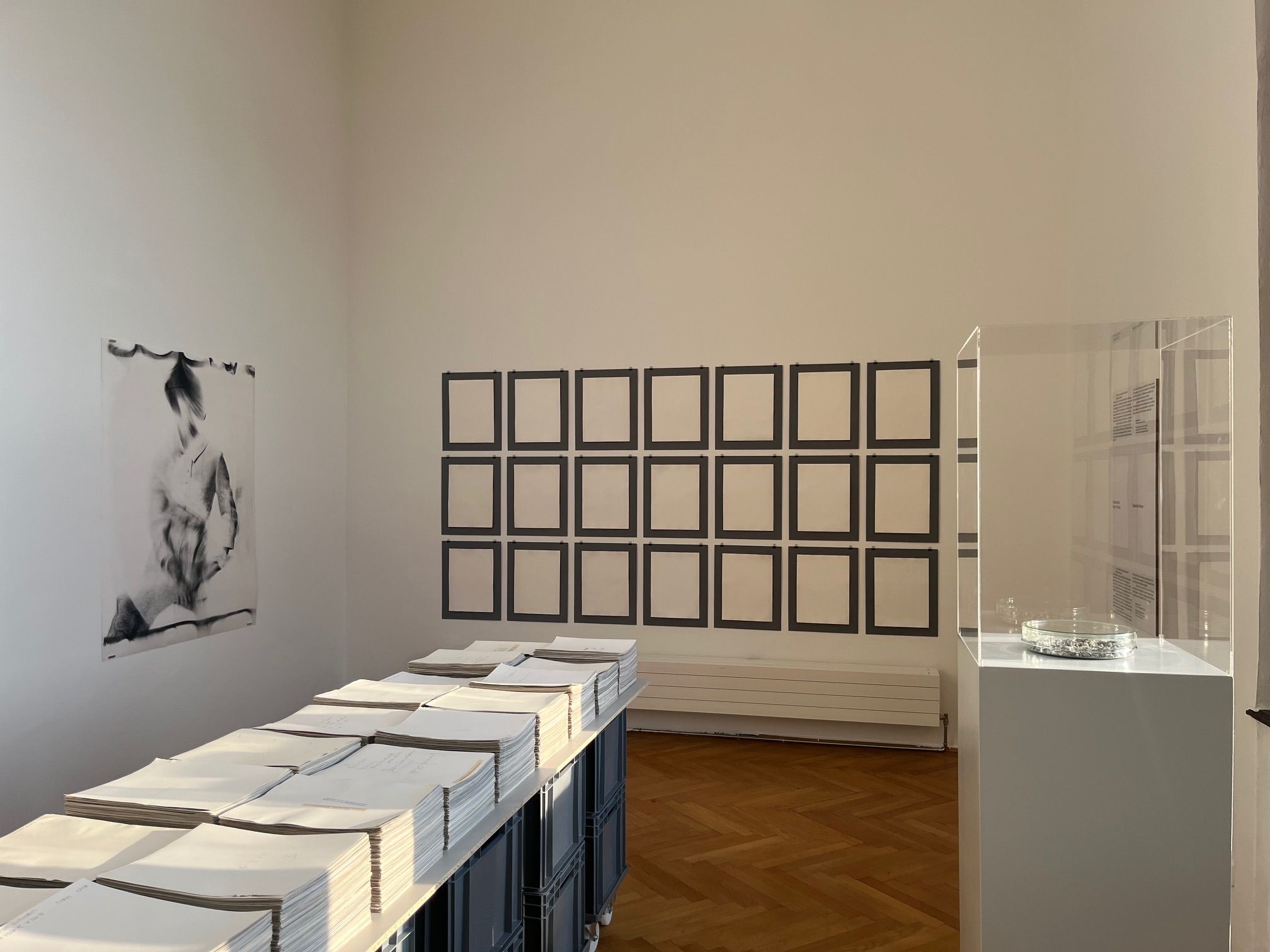 Ausstellungsansicht, Sebastian Riemer, Some Secrets on Photography – Was Sie noch nicht über die Fotografie wussten, Francisco Carolinum Linz, Österreich, 2026