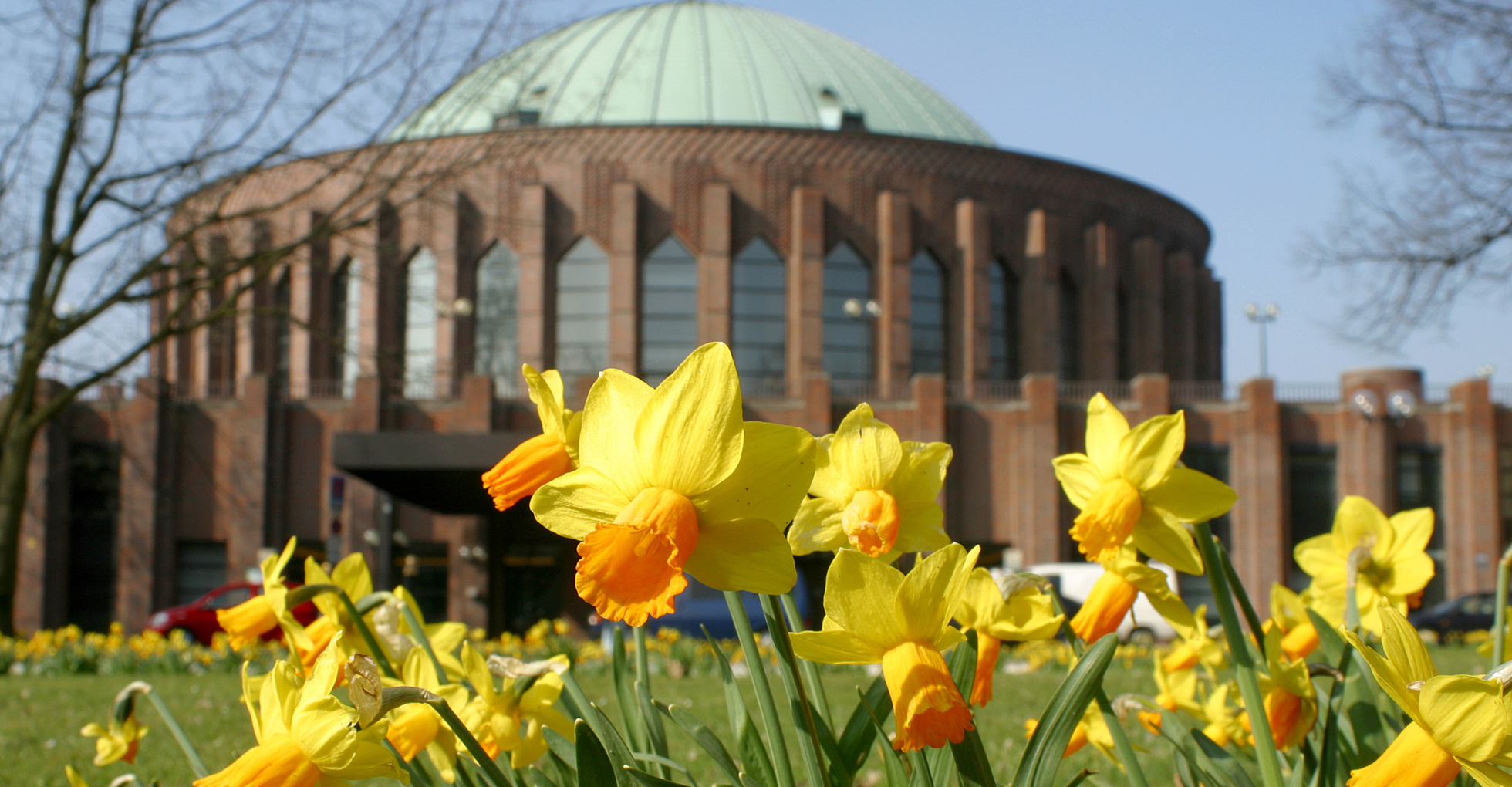 Blick auf die Tonhalle