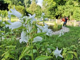 Landeshauptstadt Düsseldorf/Garten-, Friedhofs- und Forstamt