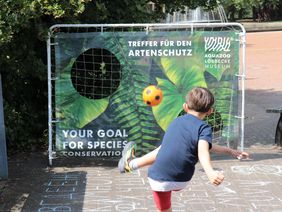 Ein Junge (von hinten) schießt einen Fußball auf eine Torwand. Diese zeigt einen Ausschnitt aus einem Tropenwald. Darauf zu lesen ist "Dein Treffer für den Artenschutz".