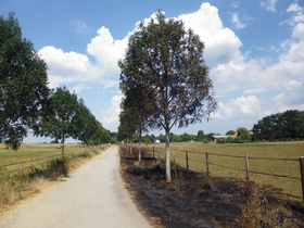 Landeshauptstadt Düsseldorf/Garten-, Friedhofs- und Forstamt