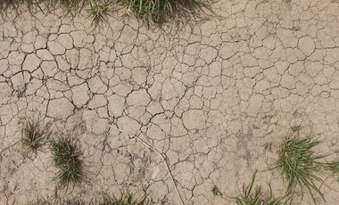 vertrocknete Erde zwischen einzelnen Grasbüscheln