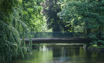 Der kleine Weiher im Floragarten