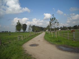 Landeshauptstadt Düsseldorf/Garten-, Friedhofs- und Forstamt