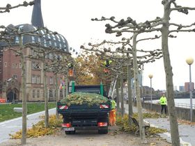 Landeshauptstadt Düsseldorf/Garten-, Friedhofs- und Forstamt