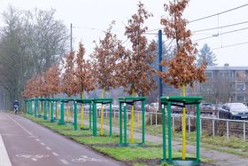 Landeshauptstadt Düsseldorf/Michael Gstettenbauer