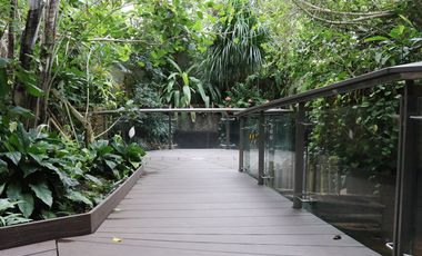 Ein Holzsteg, der durch die dicht bewachsene Tropenhalle des Aquazoo Löbbecke Museum führt. 