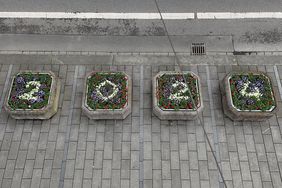 Landeshauptstadt DüsBlick von oben: Aus roten Verbenen, weißen Begonien und blau-violettem Leberbalsam setzt sich in den Pflanzkübeln der Schriftzug 'UEFA EURO 2024' zusammen.seldorf/David Young