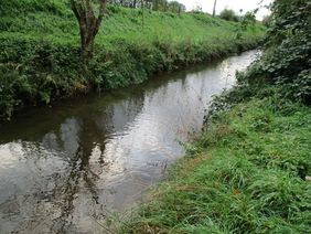 Abschnitt der nördlichen Düssel