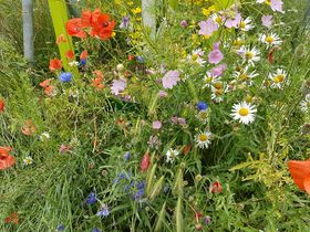 Landeshauptstadt Düsseldorf/Garten-, Friedhofs- und Forstamt