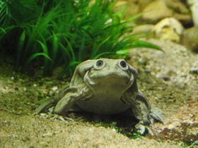 Aquazoo Löbbecke Museum