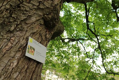 Phänologischer Garten / Umweltamt Düsseldorf