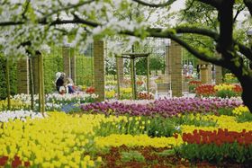 Landeshauptstadt Düsseldorf/Garten-, Friedhofs- und Forstamt