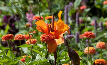 Blumenschmuck am Denkmal Adam & Eva