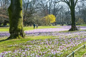 Landeshauptstadt Düsseldorf, Melanie Zanin