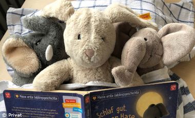 Foto mit drei Kuscheltieren, die mit einer Decke zugedeckt sind und die ein Bilderbuch ansehen.