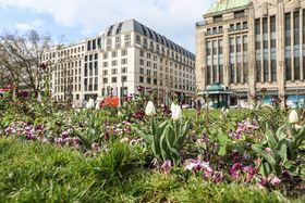 Landeshauptstadt Düsseldorf/Melanie Zanin