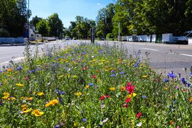 Landeshauptstadt Düsseldorf/Gartenamt