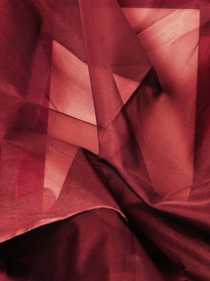 © Anne Pöhlmann 2022, DARKRED_2013_0186crop