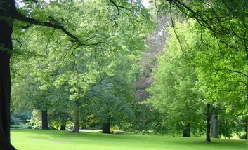 Rheinpark (Rhine Park)