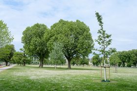 Landeshauptstadt Düsseldorf/Michael Gstettenbauer