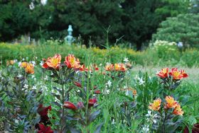 Landeshauptstadt Düsseldorf/Gartenamt