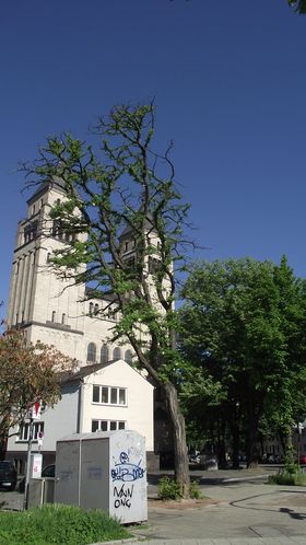 Landeshauptstadt Düsseldorf/Gartenamt