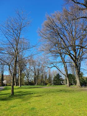 Landeshauptstadt Düsseldorf/Gartenamt/Elisabeth Albertshofer