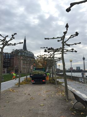 Landeshauptstadt Düsseldorf/Garten-, Friedhofs- und Forstamt