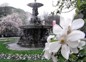 Landeshauptstadt Düsseldorf, Gartenamt