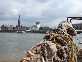 Müll am Rheinufer gegenüber der Düsseldorfer Altstadt