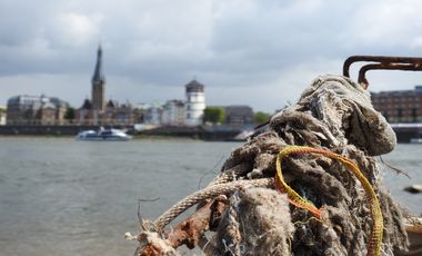 Müll am Rheinufer gegenüber der Düsseldorfer Altstadt