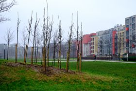 Landeshauptstadt Düsseldorf/Uwe Schaffmeister