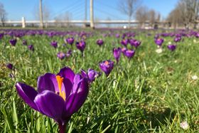 Landeshauptstadt Düsseldorf/Gartenamt