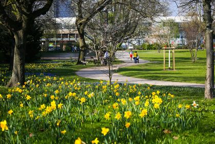 Frisches Grün für den Zoopark - Bäume, Sträucher und Blumenzwiebeln