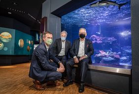 Direktor Dr. Jochen Reiter, Kulturdezernent Hans-Georg Lohe und Stadtwerke-Vorstand Manfred Abrahams vor dem Haiaquarium des Aquazoo Löbbecke Museum