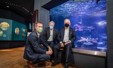 Direktor Dr. Jochen Reiter, Kulturdezernent Hans-Georg Lohe und Stadtwerke-Vorstand Manfred Abrahams vor dem Haiaquarium des Aquazoo Löbbecke Museum