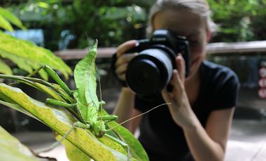 Insekten halten still und sind damit gut für Makroaufnahmen geeignet.