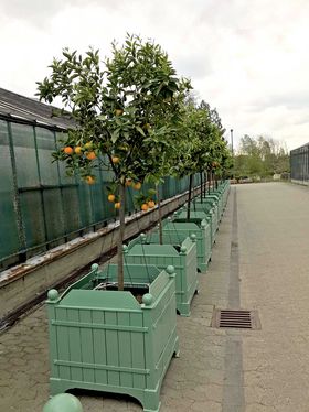 Landeshauptstadt Düsseldorf/Gartenamt