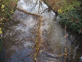 Gewässerschau Südliche Innere Düssel