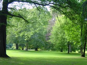 Landeshauptstadt Düsseldorf/Gartenamt