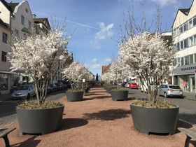 Landeshauptstadt Düsseldorf, Umweltamt