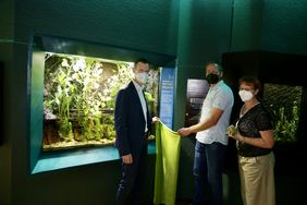 WetterOnline übernimmt die Patenschaft für die Laubfrösche im Aquazoo. Nun enthüllten passend dazu Aquazoo-Direktor Dr. Jochen Reiter, Björn Goldhausen, Meteorologe bei WetterOnline, und Amphibienexpertin Sandra Honigs, eine Tafel am Terrarium © Landeshauptstadt Düsseldorf/Ingo Lammert 