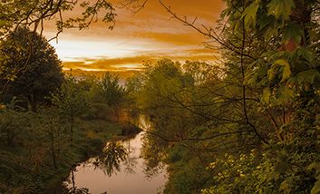 Die renaturierte Südliche Düssel bei Sonnenuntergang.